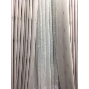 2pcs Cream Heavy Curtain With Silver Pattern